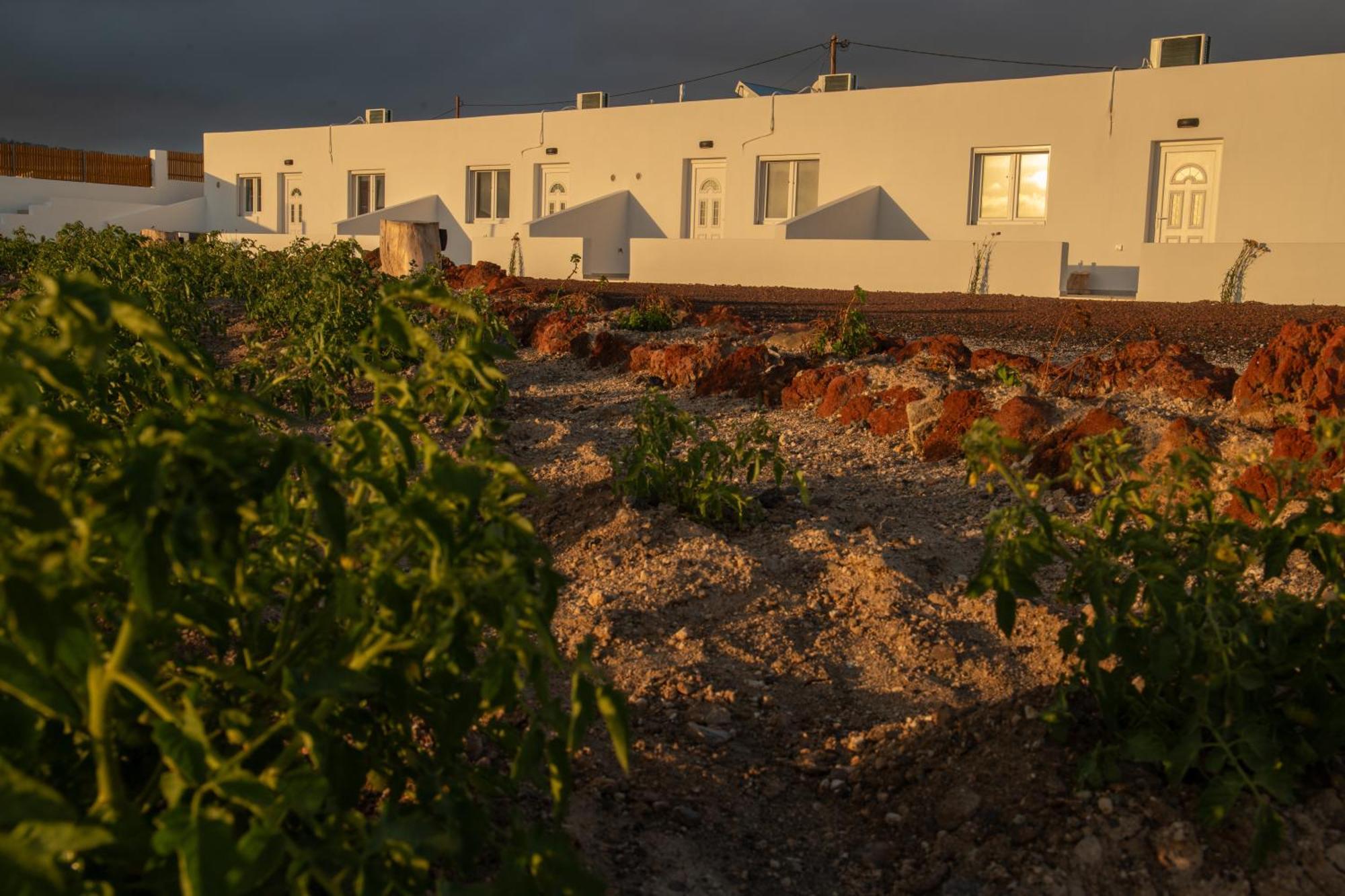 Calma Eco Houses Sunset View Emporio  Екстер'єр фото